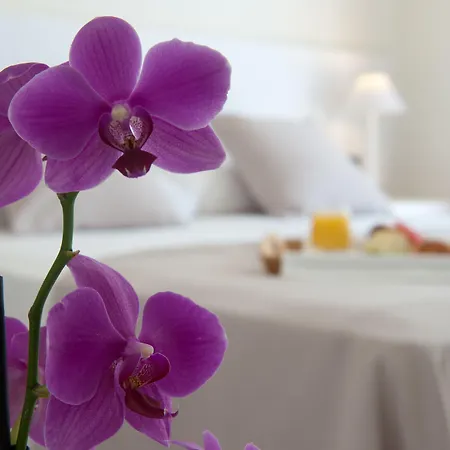 فندق El Petit Convent 3*